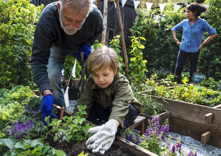 5 Fun Family Projects to Do in Your Home Garden
