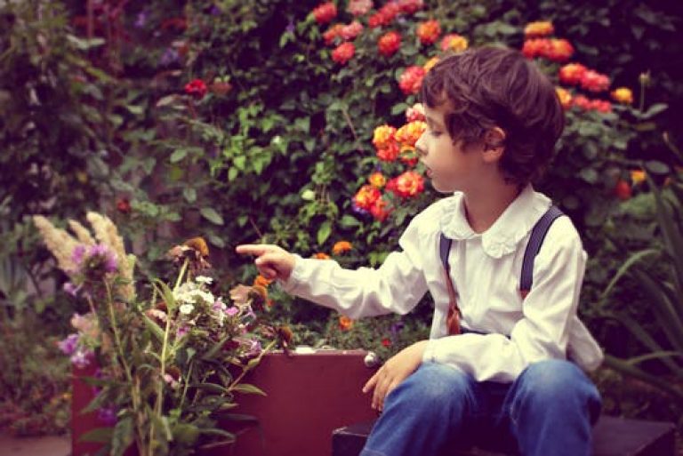 Home and Garden: Protecting Your Child from Poisonous Plants