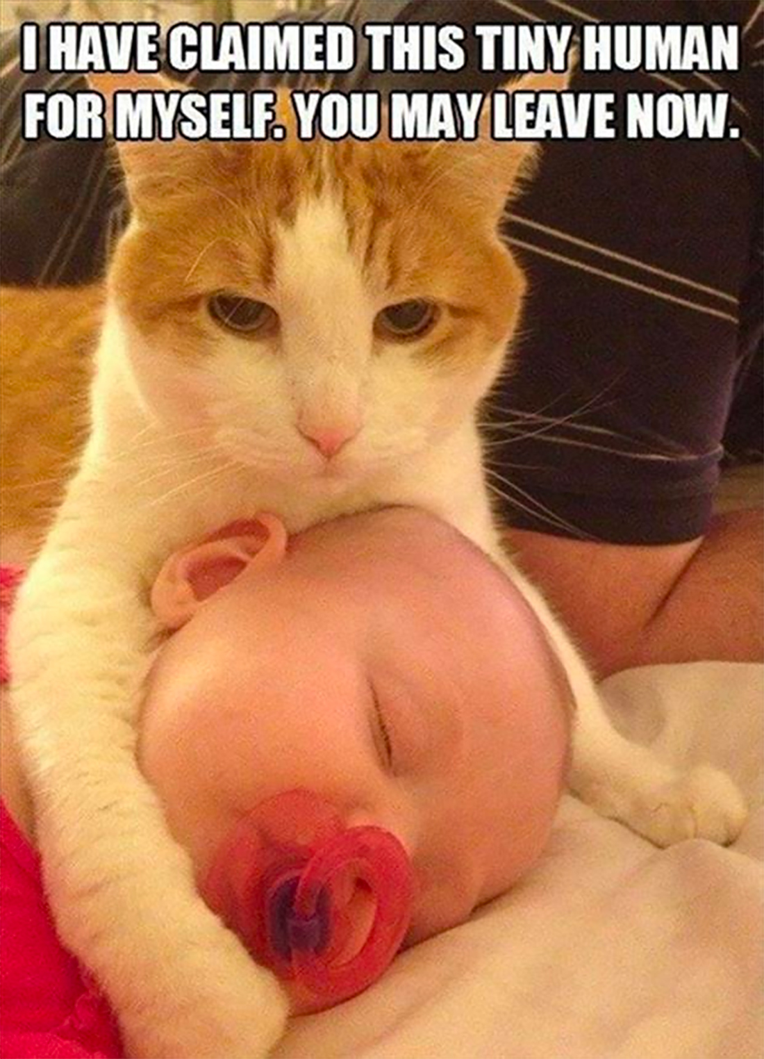 30-baby-and-puppy-memes-that-will-keep-you-laughing-page-11