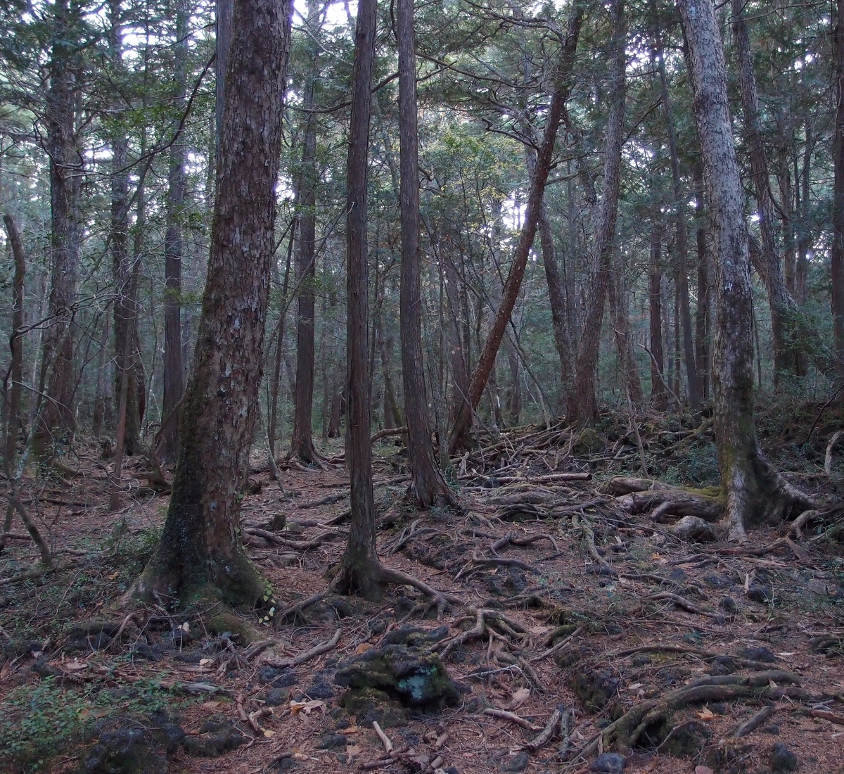 25 of the Most Creepiest Places on Earth