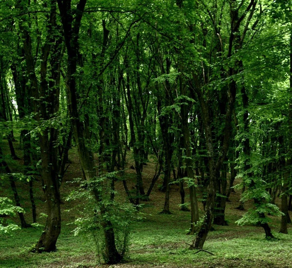 25 of the Most Creepiest Places on Earth