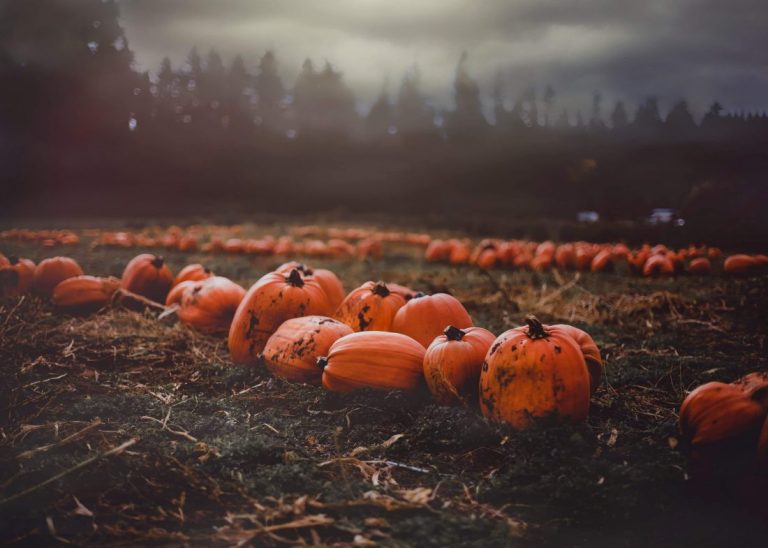 7 Spooky Fun Family Movie Night Ideas for the Fall