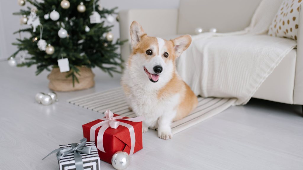 Christmas gifts for dog lovers
